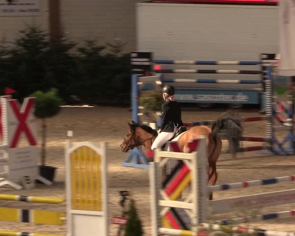 Reitturnier Sögel 2022
