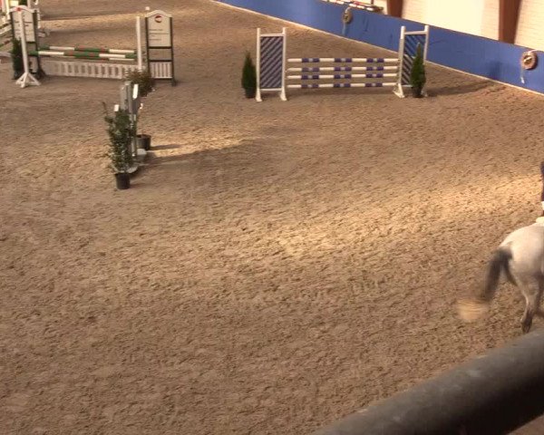 Reitturnier Sögel 2022