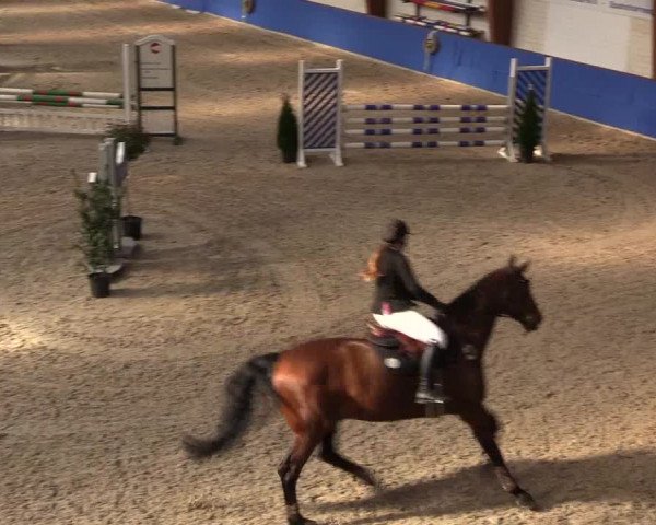 Reitturnier Sögel 2022