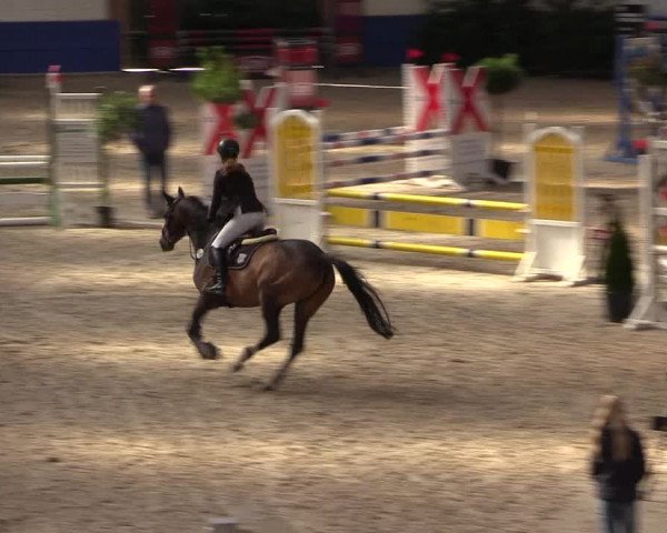 Reitturnier Sögel 2022