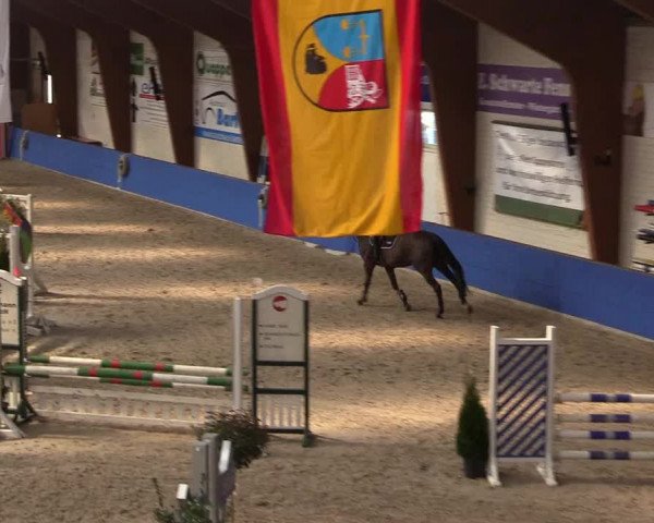 Reitturnier Sögel 2022