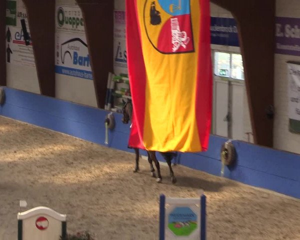 Reitturnier Sögel 2022