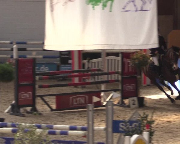 Reitturnier Sögel 2022