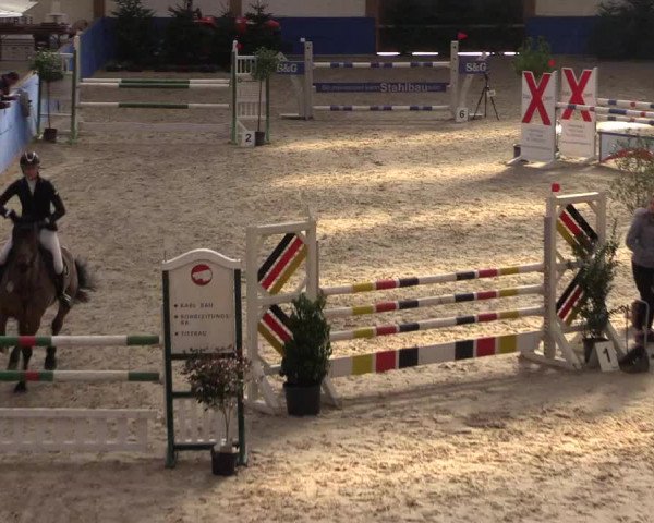 Reitturnier Sögel 2022