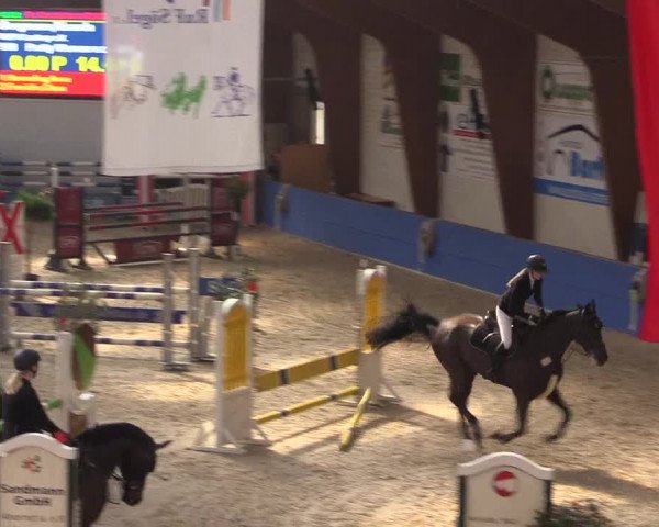 Reitturnier Sögel 2022