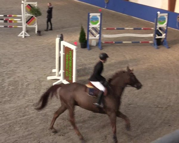 Reitturnier Sögel 2022