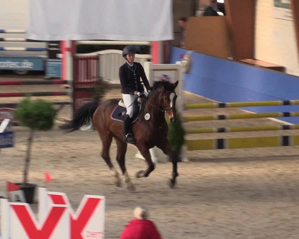 Reitturnier Sögel 2022