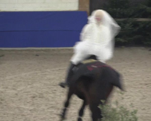 Reitturnier Sögel 2022
