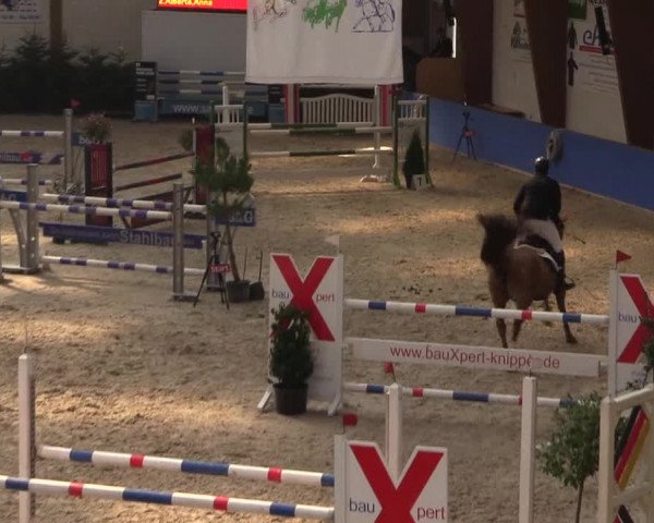 Reitturnier Sögel 2022