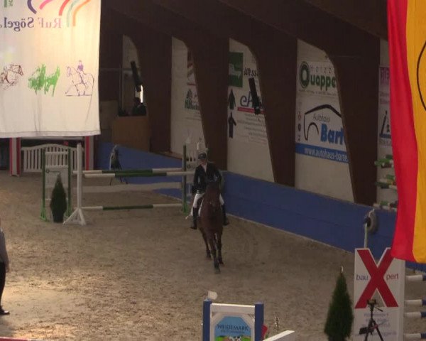 Reitturnier Sögel 2022