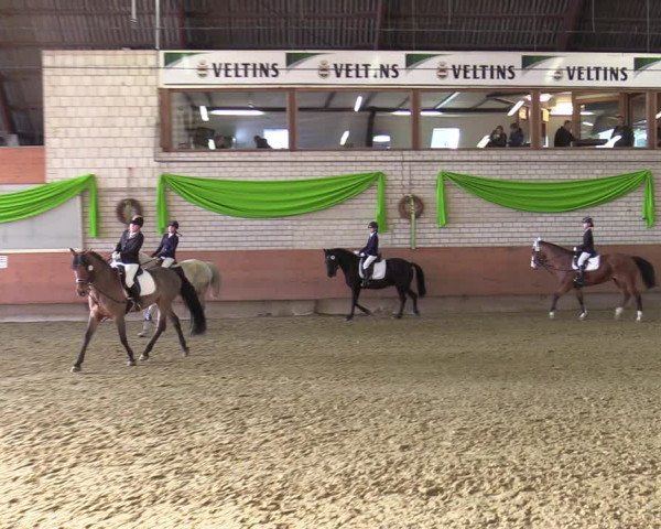 Reitturnier Hellefeld 2022