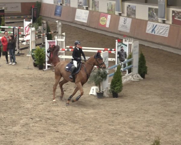 Reitturnier Grevenbroich - Gut Neuhaus 2022