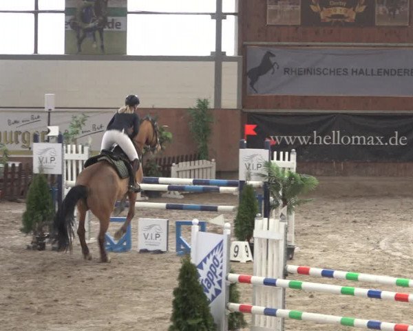 Reitturnier Grevenbroich - Gut Neuhaus 2022