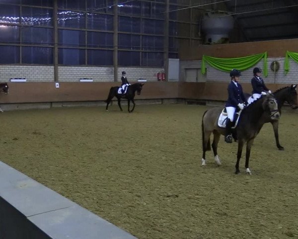 Reitturnier Hellefeld 2022