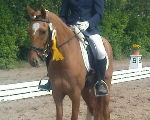 broodmare Deja Vu (German Riding Pony, 2006, from FS Don't Worry)