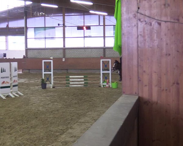 Reitturnier Hellefeld 2022
