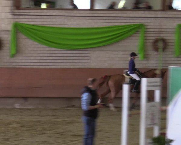 Reitturnier Hellefeld 2022