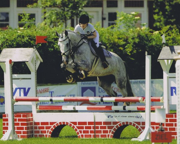 Springpferd Bellissima 37 (Holsteiner, 2009, von Cancara)