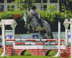 jumper Bellissima 37 (Holsteiner, 2009, from Cancara)