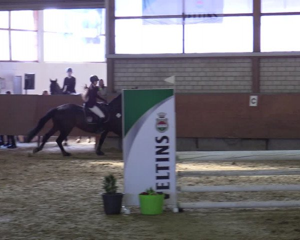 Reitturnier Hellefeld 2022