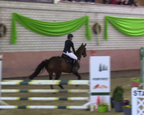 Reitturnier Hellefeld 2022