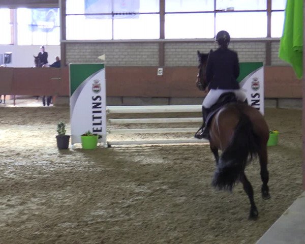Reitturnier Hellefeld 2022