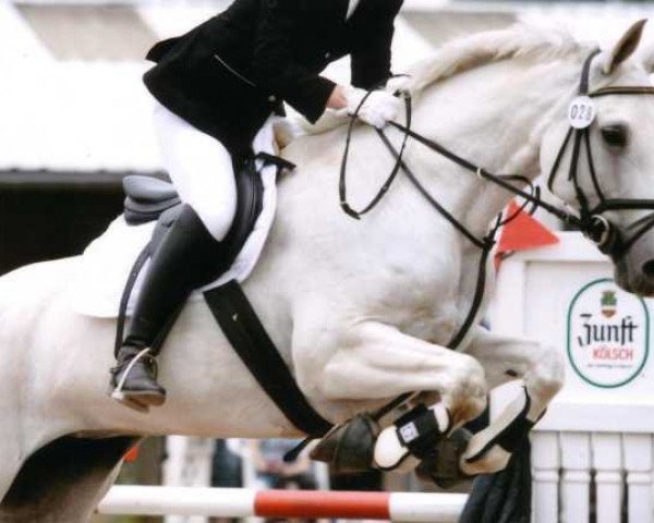 jumper Atlanta P 2 (Hanoverian, 1996, from Athletico)