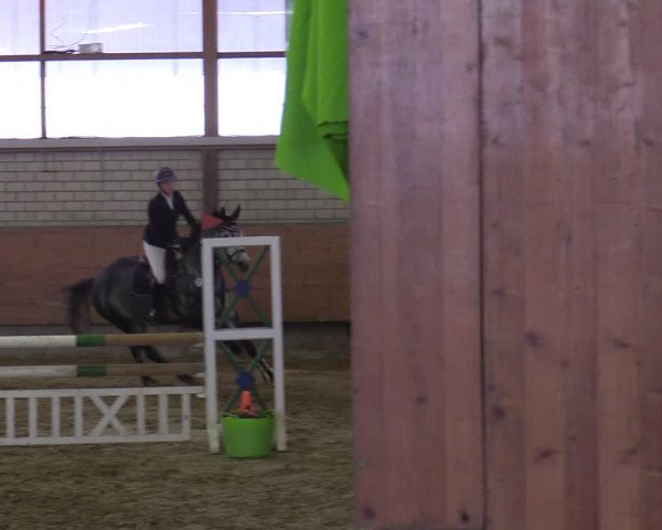 Reitturnier Hellefeld 2022