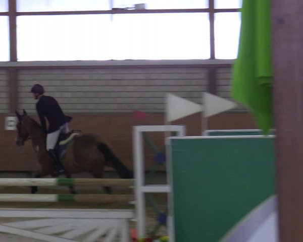 Reitturnier Hellefeld 2022