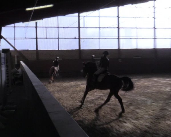 Reitturnier Hellefeld 2022