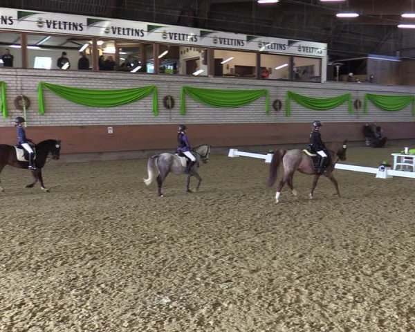Reitturnier Hellefeld 2022