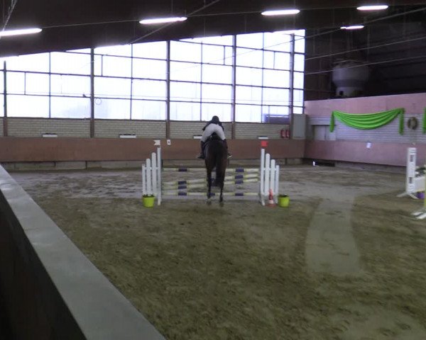 Reitturnier Hellefeld 2022