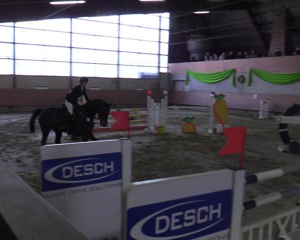 Reitturnier Hellefeld 2022