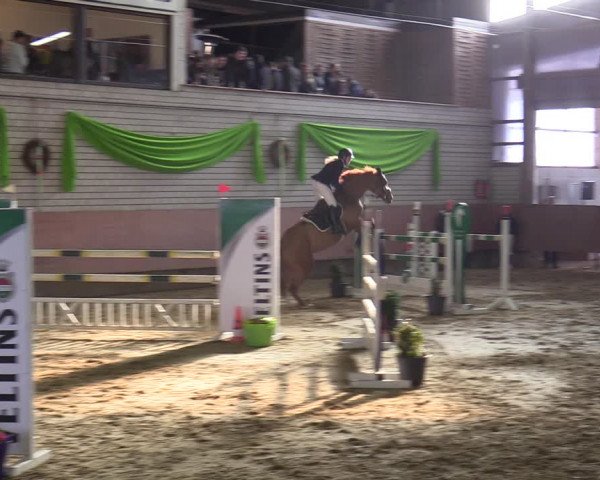 Reitturnier Hellefeld 2022