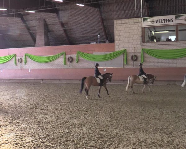 Reitturnier Hellefeld 2022
