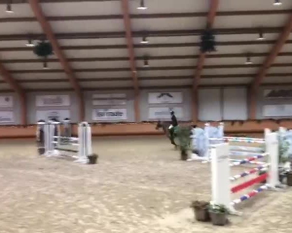 Video von Casanova Zsz