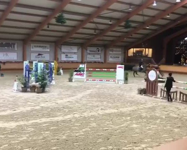 Video von Casanova Zsz