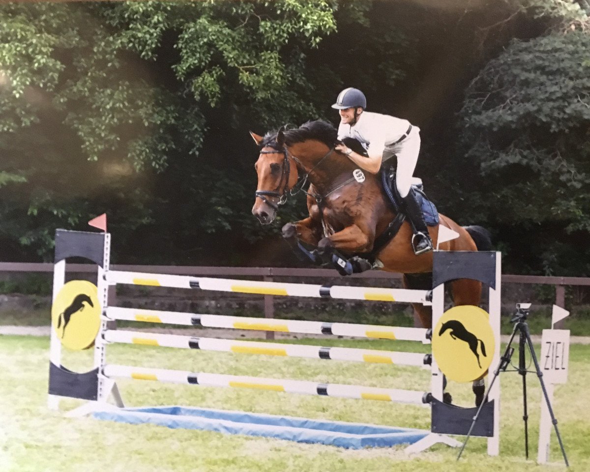 Springpferd Cuthbert B (Holsteiner, 2009, von Cardino)
