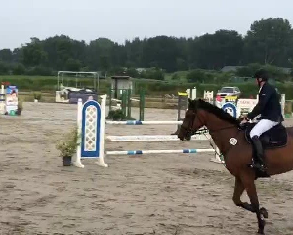 Video of Cuthbert B