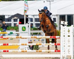 jumper Caspian (Swedish Warmblood, 2008, from Careful 28)