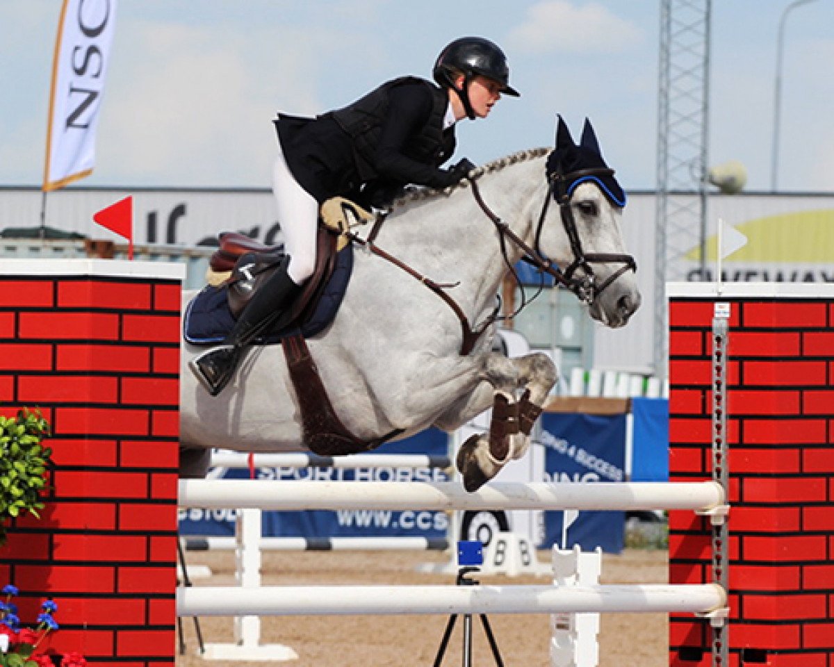 jumper Mohulla Playboy (Connemara Pony, 2011)
