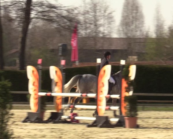Münster-Handorf | Late Entries Frühlingserwachen 2022