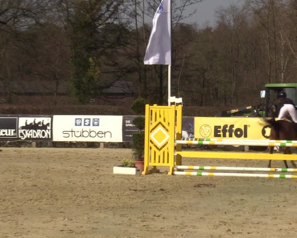Münster-Handorf | Late Entries Frühlingserwachen 2022