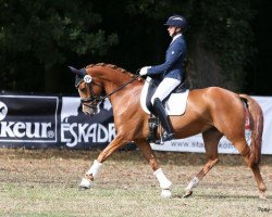 Zuchtstute Djulietta J (Deutsches Reitpony, 2015, von Djalisco J)