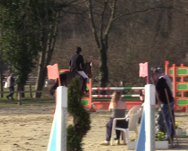 Münster-Handorf | Late Entries Frühlingserwachen 2022