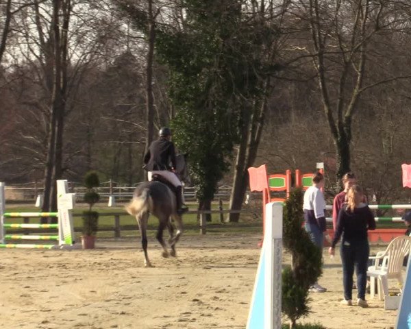 Münster-Handorf | Late Entries Frühlingserwachen 2022