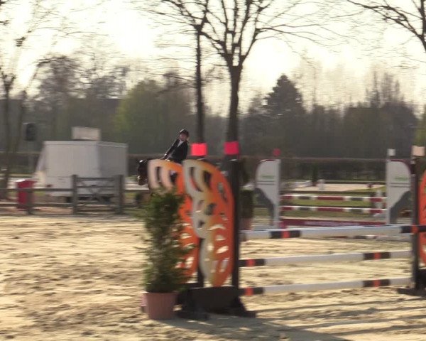 Münster-Handorf | Late Entries Frühlingserwachen 2022