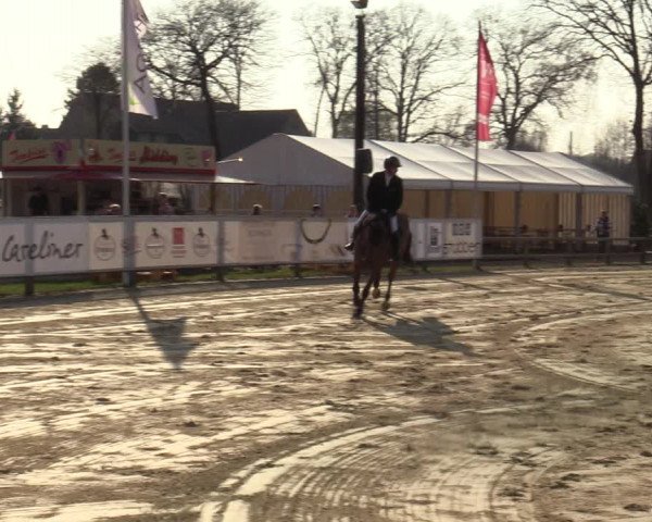 Münster-Handorf | Late Entries Frühlingserwachen 2022