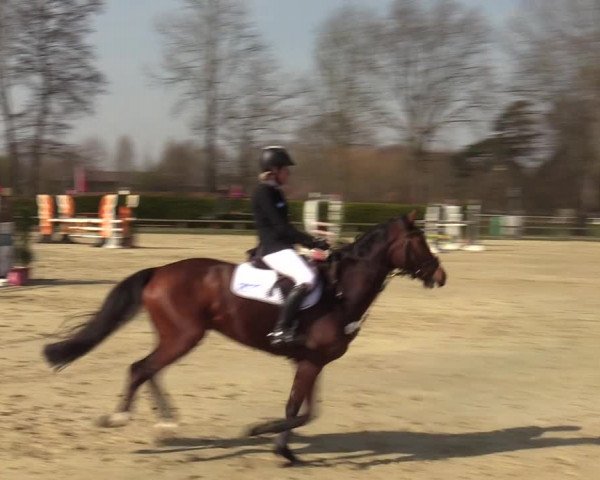 Münster-Handorf | Late Entries Frühlingserwachen 2022