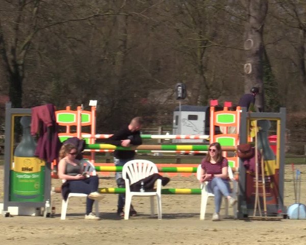 Münster-Handorf | Late Entries Frühlingserwachen 2022